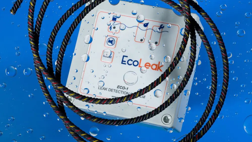 EcoLeak - Eco-1 and Eco-6